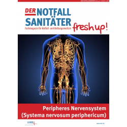 Der Notfallsanitäter fresh up! |Peripheres Nervensystem