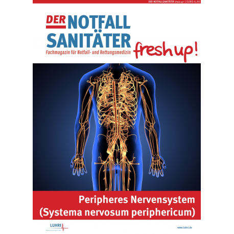 Der Notfallsanitäter fresh up! |Peripheres Nervensystem